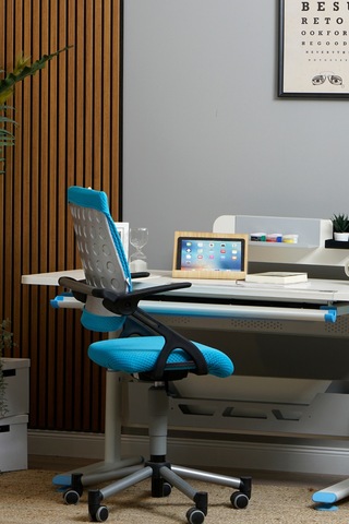 Creo Mobili Yükseklik Ayarlı Vega Plus Çalışma Sandalyesi, Ofis Ve Bilgisayar Koltuğu Mavi/mavi Gri