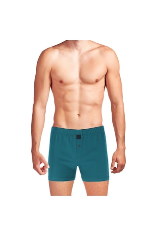 The Don Petrol Yeşili Renk Jersey Penye/Örme Boxer