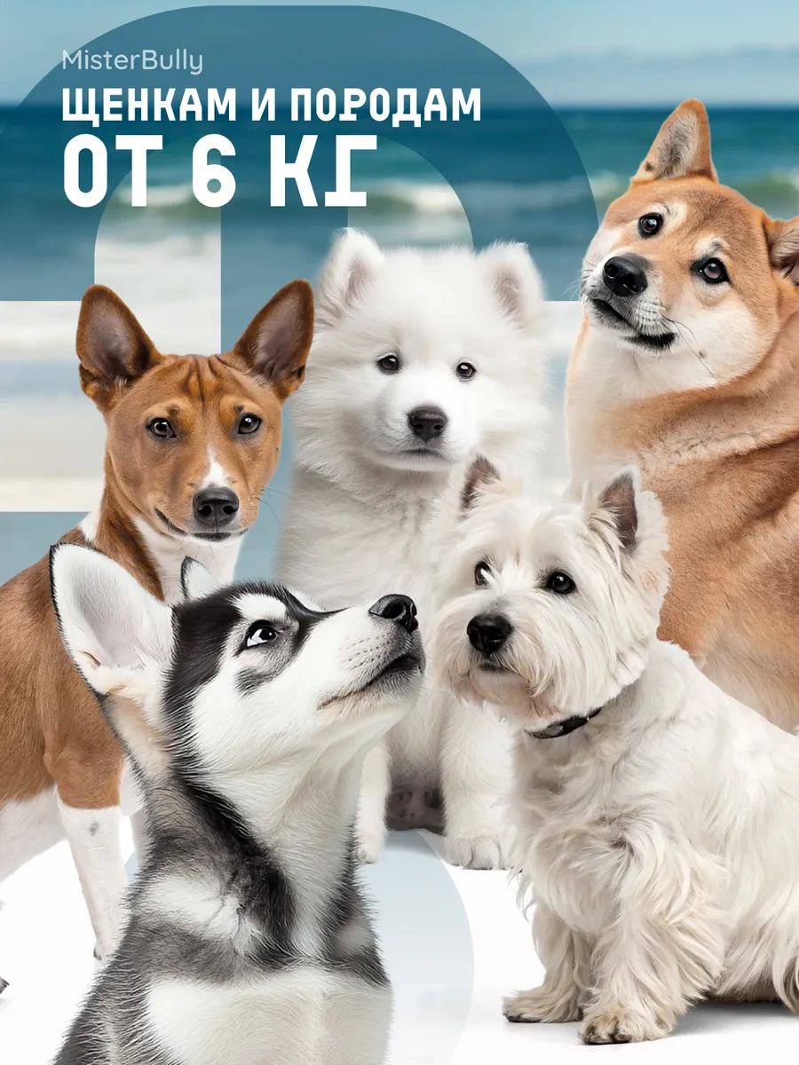 Misterbully Orta Irk Köpekler Ve Yavrular İçin Diş Oyuncağı 269007291