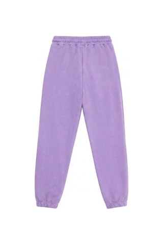 Pina Kids Kız Çocuk İki İplik Çift Cepli Lastikli Paça Eşofman Altı Esf7033 Lila
