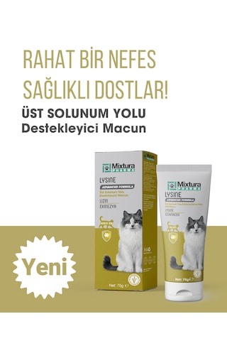 Mixtura Pharma Lysine Kedi Üst Solunum Yolu Macun - Kedi Maltı
