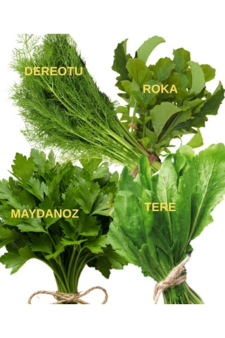 Yeşillik Tohumları Maydanoz, Tere, Roka, Dereotu 20 Gr.' Lık Paketlerde 20 Gr.