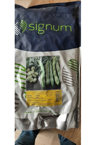 Kolukısa Tarım Bakla Tohumu--500gr