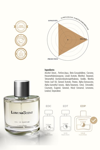 S401 Erkek Parfüm Woody Edp 50 Ml Fresh