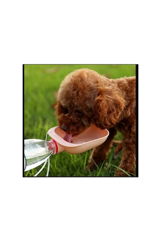 Nachang Taşınabilir Pet Su Kasesi - Dayanıklı Plastik, Ergonomik Kolu & Spout Köpekler Ve Kediler