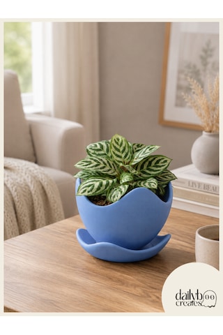 Dekoratif Kaseli Saksı-bitki,çiçek,sukulent Ve Kaktüs Saksısı-modern Tarz Saksı Mavi