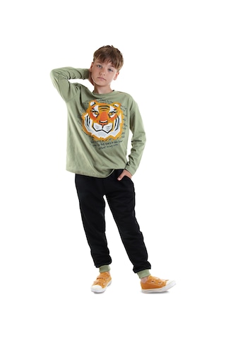 Denokids Kaplan Erkek Çocuk T-shirt Pantolon Takım Renkli