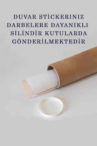 Eğitici Dünya Haritası Dünya Atlası Çocuk Ve Bebek Odası Duvar Sticker-85x130-3786 Çok Renkli