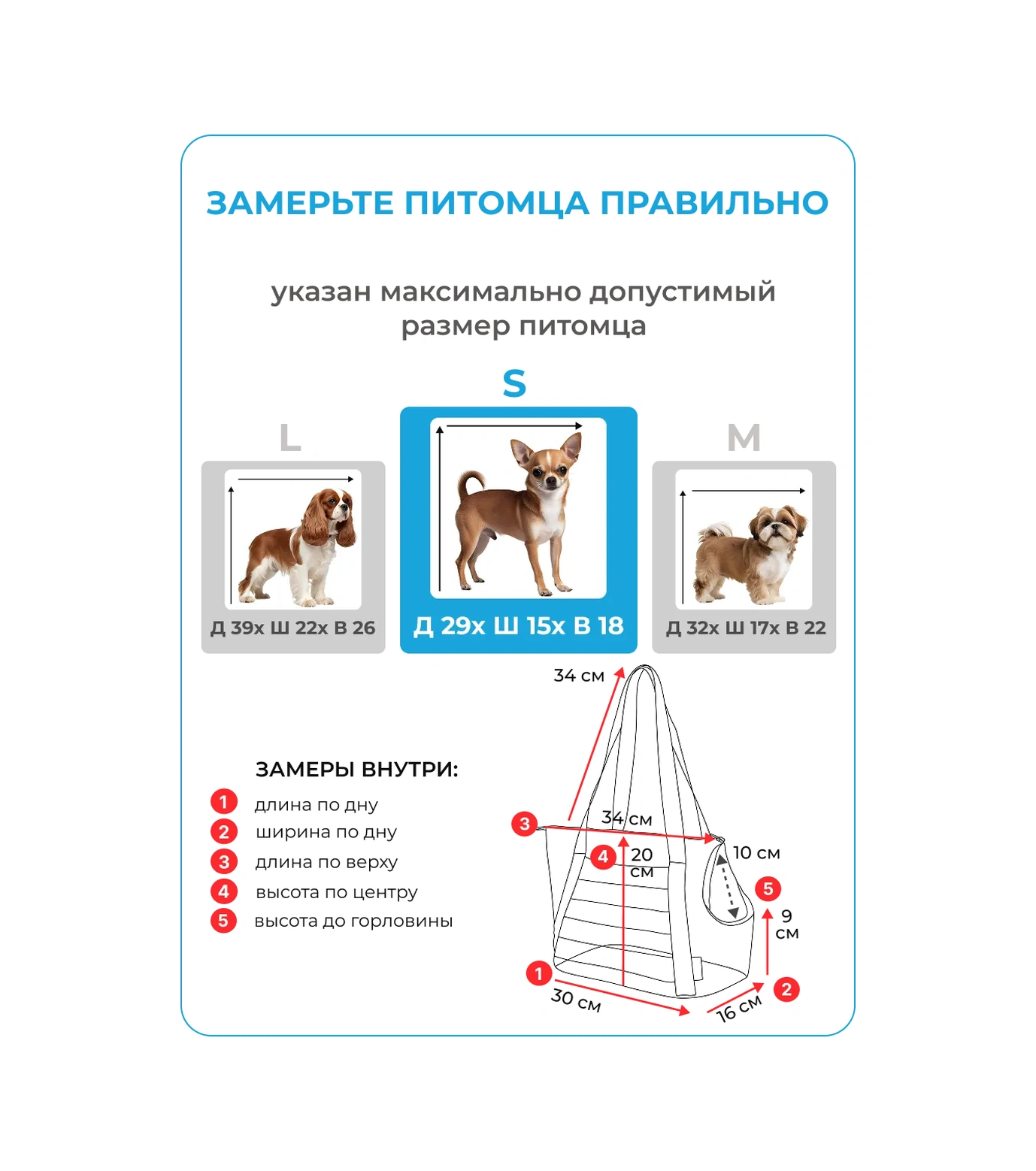 Raimos Küçük Köpekler Ve Kediler İçin S Taşıma Çantası 370091247