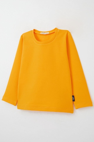 Breeze Erkek Bebek Uzun Kollu Tişört Basic 9 Ay-3 Yaş, Hardal Sarı Hardal Sarı