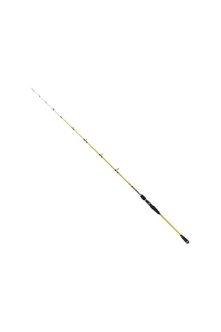 Ryuji Sparrow 1.70m 15-200gr 2p Bot Olta Kamışı Standart