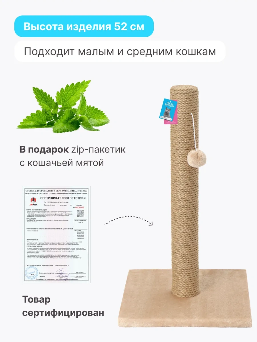 Rıch Breed Kedi İçin Tırmalama Direği Ayaklı Masa 37111383