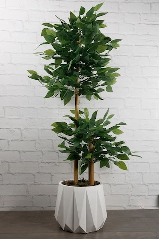 Yapay Çiçek Beton Saksıda Benjamin Salon Ağacı Bitkisi Bambu Gövdeli Yoğun Dolgun Yapraklı 105 Cm