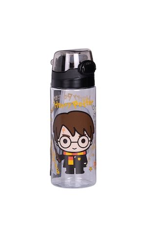 Harry Potter 500 Ml Matara-2869