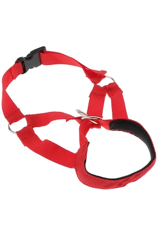 Homyl Ayarlanabilir Pet Köpek Anti Bite Maske Yavrusu Ağız L