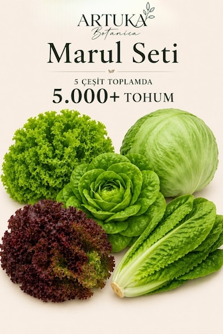 5 Çeşit Marul Tohumu Özel Seti 5.000+ Tohum Kıvırcık, Iceberg & Göbek, Paris Island, Lollo Rosso, Yedikule