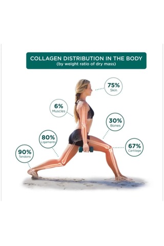 Genacol Eggshell Membrane Collagen 90 Kapsül