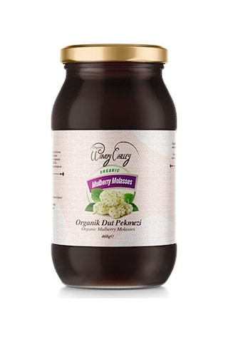 Organic Windy Valley Organik Dut Pekmezi 460 G