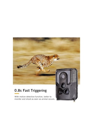 Dancemonkey Andoer Yaban Hayatı Kamerası - 1080p, 120 Açıklık, 0.8s Tetikleme, Ir Gece Görüşü, Ip54 Su Geçirmez, 32gb Harici Bellek, 1/4 Arayüz Çok Renkli