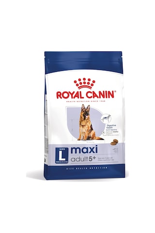 Royal Canin Shn Maxi Mature +5 Yaşlı Köpek Maması 15 KG