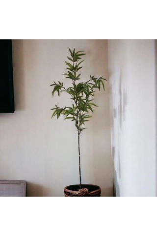 T.concept Dekoratif Yapay Bambu Dal 160 Cm 1 Adet