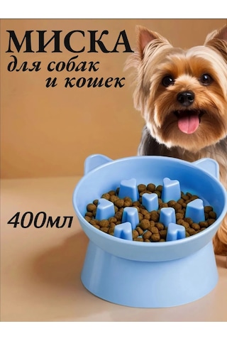 Vektorı Kedi Kabı 391740897