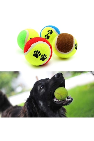 3& Apos Lü Renkli Desenli Tenis Topu Kedi Köpek Oyuncağı 5639