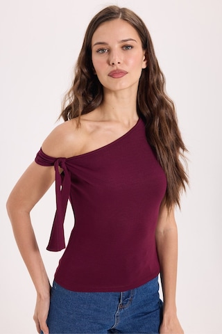 Tudors Kadın Slim Fit Dar Kesim Kısa Kollu Kayık Yaka Bordo Bluz-50537