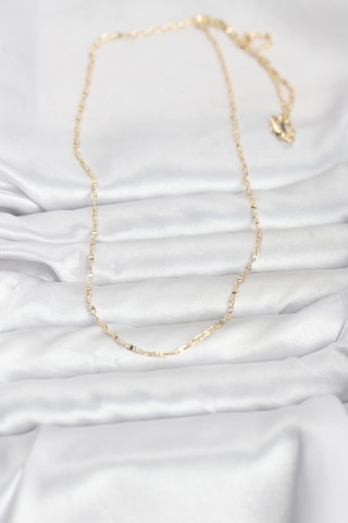 Cm 14k Gold Renk Gemici Zincir Model 60 Cm Kadın Kolye - Lisinya Çok Renkli 15829827