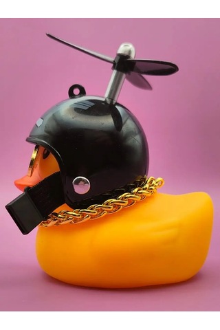 Market Alls Aracın İçinde Kasklı Ve Gözlükleri Olan Ördek 124655843