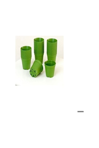 Katı Plastik Sukulent Saksısı 20 Adet Açık Yeşil 5.5 Cm