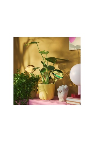 Ikea Doftrips Serisi, Sulama Düzeneği, 40 Cl, Pembe-yeşil