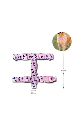 Swissplus Urban Paws Pink Leo Geri Dönüştürülmüş H-tipi Köpek Göğüs Tasması-2xl Pembe - Pudra