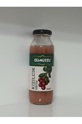Kızılcık Meyve Suyu 250 Ml 24 Adet