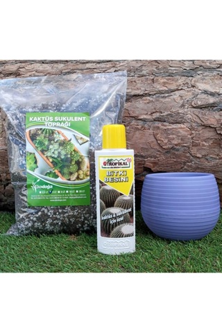 Tropikal Kaktüs Besini 225 Ml Sıvı Gübre + 3 Lt Toprağı + 0,55 Lt Lila Saksısı, 3'lü Set