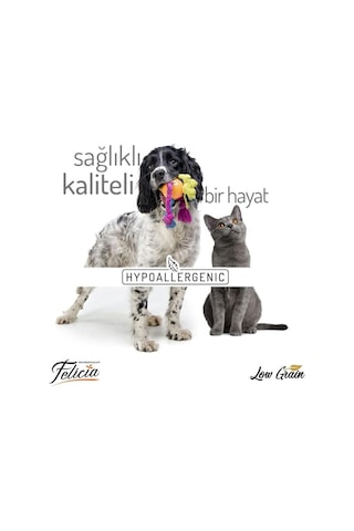 Az Tahıllı Sterilised Somonlu Kedi Maması 12 Kg