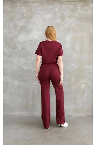Modaserdem Osy Modal Yumuşak Dokulu Kumaş Bisiklet Yaka Parçalı Detaylı Kısa Kollu Takım - Bordo Bordo