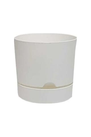 Polıwork Saksı Begonya 25 Cm Beyaz