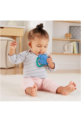 Fisher Price Sevimli Hayvancıklar Dişlikler-Gyn23-Gyn26 Çok Renkli