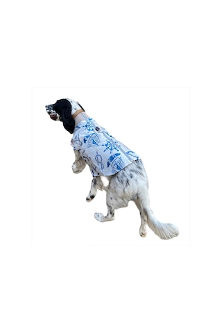 Kemique Blue Nautica Orta ve Büyük Irklar için Köpek Yağmurluğu