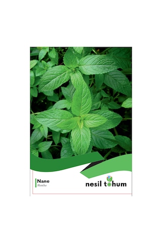 Nane Tohumu 1 Paket 100 Adet