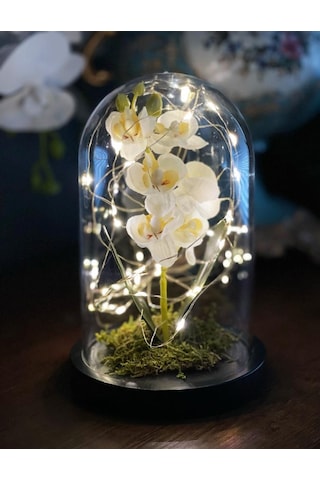 Faunus İçerisinde Işıklı Yapay Beyaz Orkide Anneler Günü Özel Hed