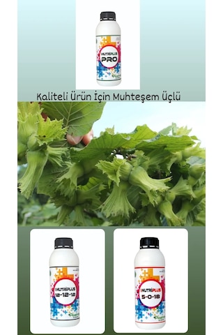 Pozitif Gübre Pro Bakırlı Çinkolu Demirli Molibdenli Gübre Zeytin