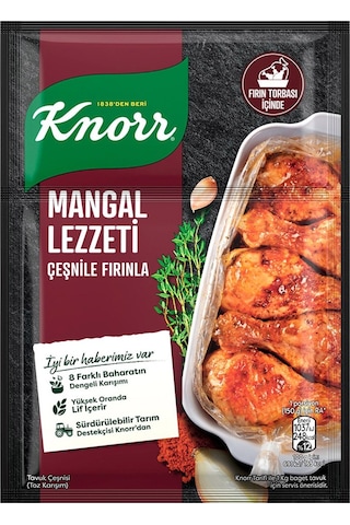 Knorr Tavuk Çeşnisi 10 x 29 G