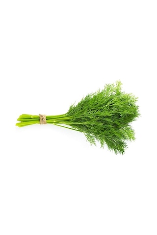 Dereotu Tohumu Gönen 010 Dere Otu Tohumu İlaçlı 25 Gram