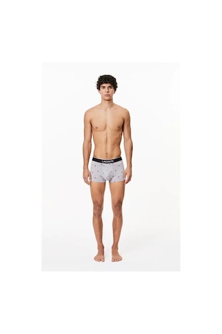 Erkek 3'lü Boxer 5h3411 Multicolor
