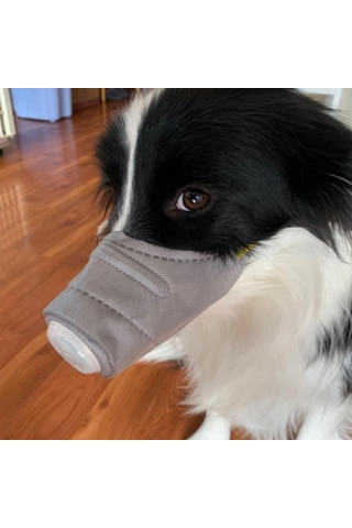 Homyl Ayarlanabilir Anti Sis Pet Köpek Ağız Maskesi Gri-l