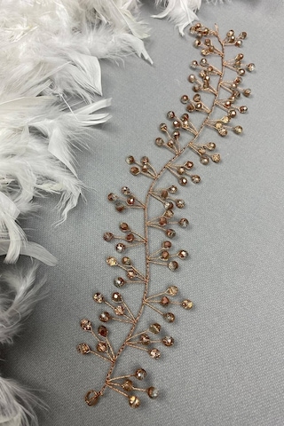 FdayAksesuar Kadın Rose Rengi Sia Model Saç Aksesuarı FRDY31310