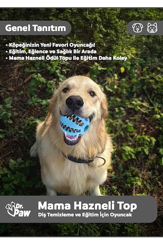 Dr. Paw Mama Hazneli Köpek Oyun Topu