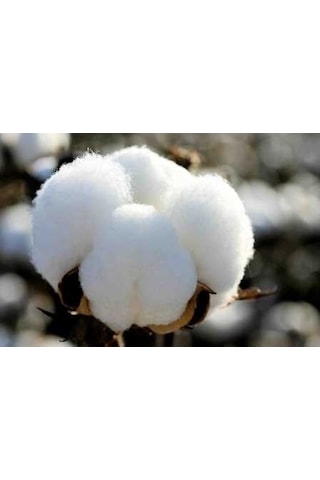 Babaanne Yorganı, El Yapımı Bebek Pamuklu Yorgan 95X145)